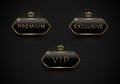 Vip, Premium and Exclusive black glass labels with golden crown and frame on a black background. Premium design.